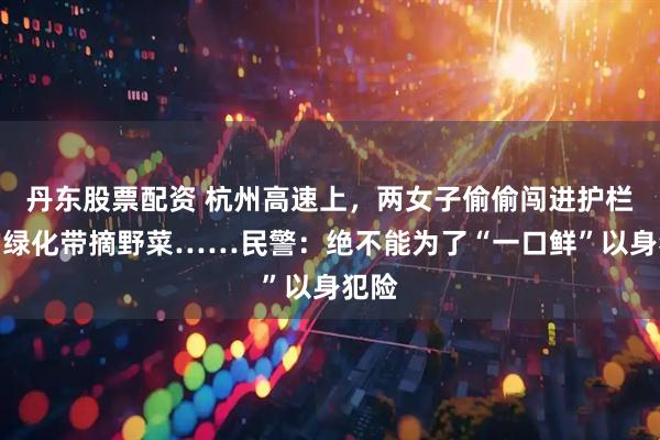 丹东股票配资 杭州高速上，两女子偷偷闯进护栏边的绿化带摘野菜……民警：绝不能为了“一口鲜”以身犯险